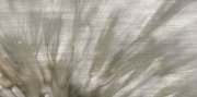 Gạch ốp lát DEC NORSK GREY 31,6 x 63,2 cm