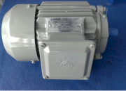 Motor chân đế 3 Phase Tatung 2P-5.5HP-3.7KW (2900 rpm)