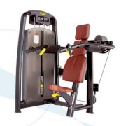 Máy tập tay vai Fitness A9 003A