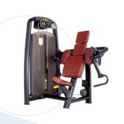 Máy tập tay trước Fitness A9 006