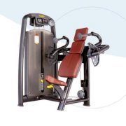 Máy tập tay sau Fitness A9 007