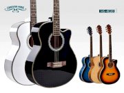 Ghitar Acoustic Caraval 4020