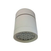 Đèn Downlight lắp nổi Epistar OBR-12 màu trắng