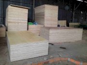Ván gỗ Plywood Lâm Nguyễn Thu 25x1220x2440mm