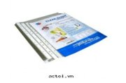 Bìa lỗ Thiên Long CS02 A4 (100 tờ/xấp)