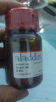 ALIZARIN RED - ALADDIN