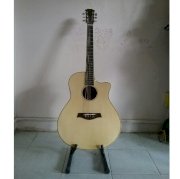 Đàn Ghi-ta Acoustic Dt 0365