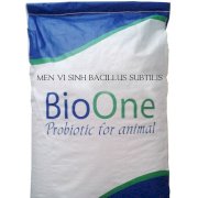 Men vi sinh Bacillus Subtilis BioOne – cung cấp men vi sinh nguyên liệu