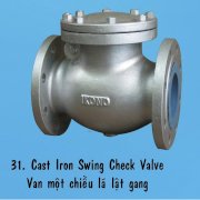 Van Một Chiều Lá Lật Gang JIS10K - IKONO - DN 125