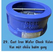 Van một chiều bướm gang IKONO DN125