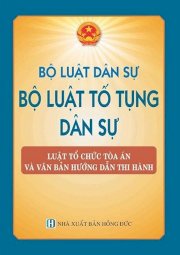 Bộ luật dân sự, Bộ luật tố tụng dân sự