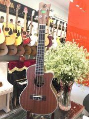 Đàn Ukulele GUC 350