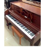 Đàn Piano cơ Young Chang BDW-110
