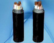 Cáp điện lực hạ thế 3 lõi ruột đồng Cadivi CVV-3x35 (3x7/2.52) -0.6/1kv