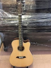 Đàn Guitar Acoustic G704