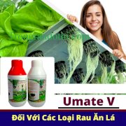 Dung dịch thủy canh Hydro Umate V