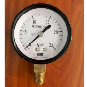 Đồng hồ đo áp suất WISE P110 60mm dialmeter 0~25Bar