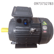 Motor chân đế Teco AESV-4P-10HP