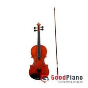 Đàn Violin Deviser V30 Size 2/4