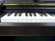 Đàn Piano điện Kawai L31