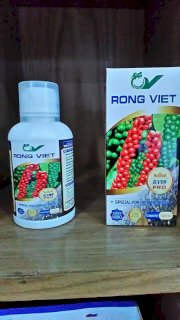 Phân bón sinh học Rồng Việt RV09