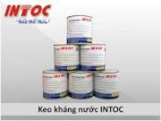 KEO KHÁNG NƯỚC  INTOC 0.7kg