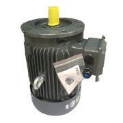 MOTOR TECO MẶT BÍCH AESU-4P-2HP