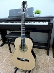 Guitar SV400