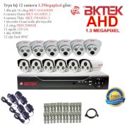 Trọn bộ 12 camera quan sát AHD BKTEK 1.3 Megapixel BKT-101AHD1.3-12