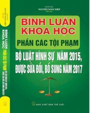 Bình luận khoa học phần các tội phạm, Bộ luật hình sự năm 2015 bổ sung sửa đổi năm 2017