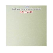 Gạch men ceramic lát nền 500x500 Kiến An Gia KAG-5748