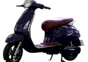 Xe máy điện Đào Khôi Vespa (Xanh than)