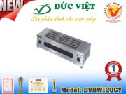 Bếp nướng điện Đức Việt DVBW120CY