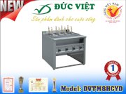 Bếp trần mỳ Đức Việt DVTM8HCYD