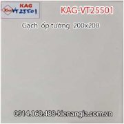 Gạch ốp tường Kiến An Gia KAG-VT20551 20x20cm