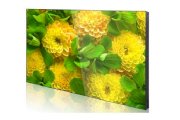 Màn hình ghép 49 inch viền 3.5mm AVN-B491P-6S