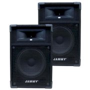 Loa 3T Jammy PS-3066K