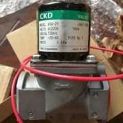 Van điện từ CKD DSG-25-AC220V