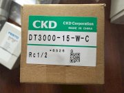 Bộ lọc hơi CKD DT3000-15-W-C