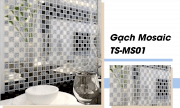 Gạch Mosaic  TS-MS01