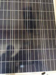 Pin năng lượng mặt trời SolarVietnam Poly