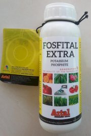 Fosfital Extra, ra rễ mạnh - giải độc hữu cơ 500 ml