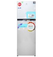 Tủ lạnh Electrolux  ETB2600MG  276 Lít