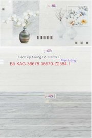 Bộ gạch ốp tường khách sạn Kiến An Gia KAG-36678-36679-Z2584-1 300x600mm