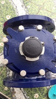 Đồng hồ nước mặt bích Sensus WP-D DN80