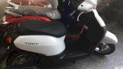 Xe ga Honda Tact  50cc