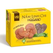 Nấm Linh Chi HQGANO Hộp 100g Nguyên Tai