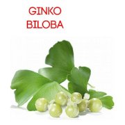 Cao bạch quả - Ginkgo Biloba - 25kg/thùng