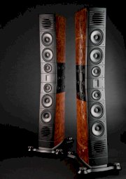 Loa Hi-End Raidho D-5.1