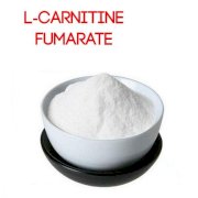 L-Carnitine Fumarate